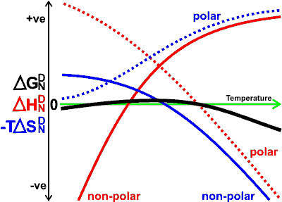 Indicative variation of free energy, enthalpy and entropy of the exposure of polar and non-polar amino acids with temperature