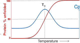 the temperature dependence of the heat capacity and denaturation
