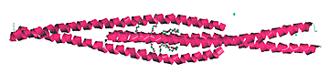Vimentim tetramer fragment, a type III intermediate filament; 3KLT